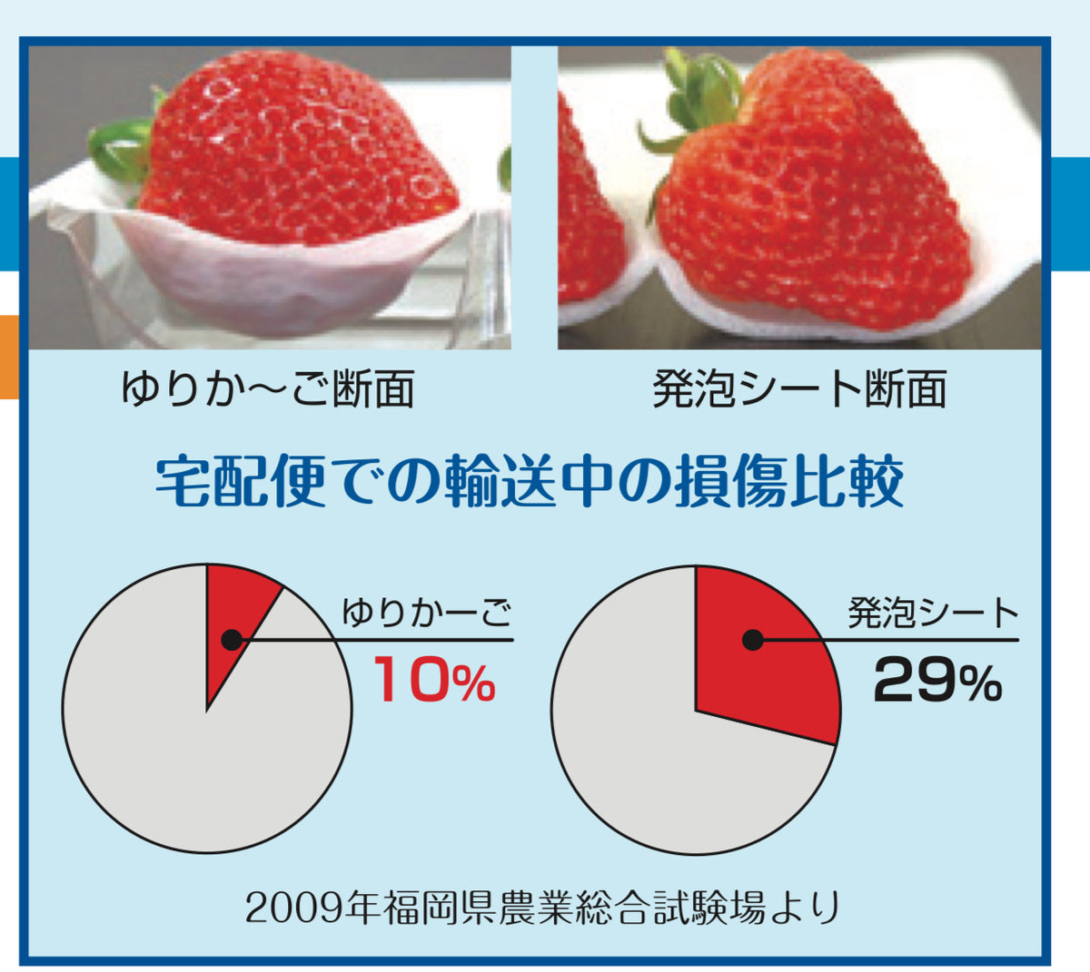法人名・屋号必須】大石産業 いちご販売用容器 ゆりかーごB 法人名・屋号必須】大石産業 いちご販売用容器 ゆりかーごB