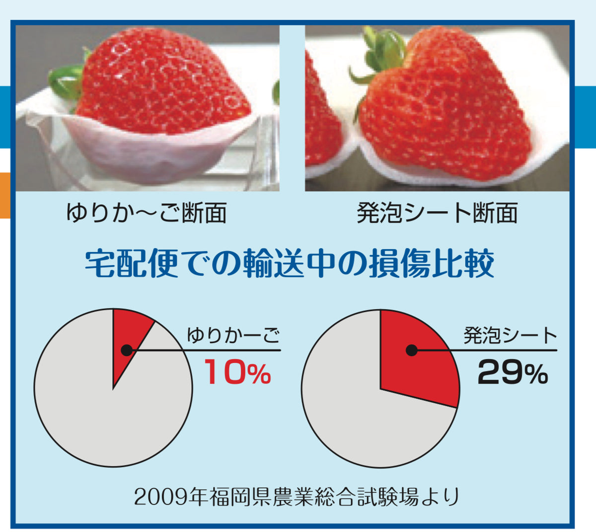 【法人名・屋号必須】大石産業　いちご販売用容器　ゆりかーごCタイプ ２０玉 上下セット　C20 | 資材の激安販売なら包装資材オンラインショップ.com