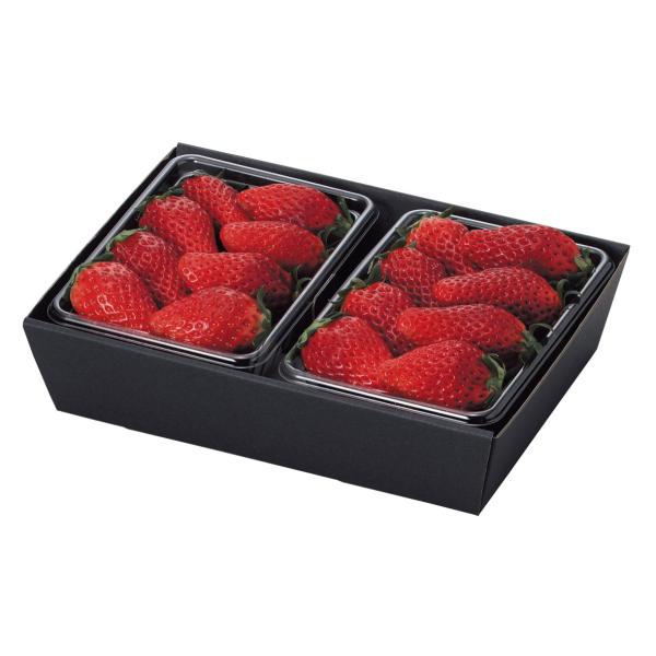 ヤマニパッケージ いちごパック2P用黒トレー(300入) L-453