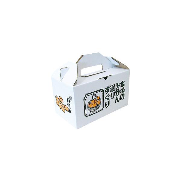 信和　ミカンキャリー　S (60入)　601055