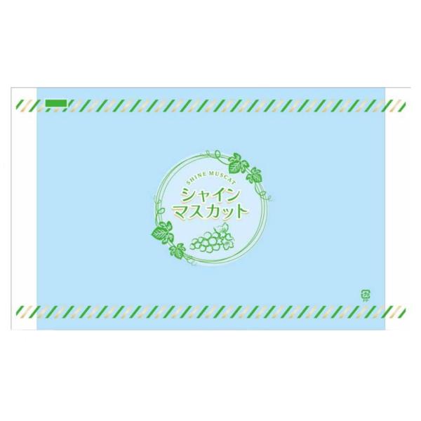 ｼｬｲﾝﾏｽｶｯﾄ容器用　ﾃｰﾌﾟ付ｼｰﾄ 25WHTP-101 ｼｬｲﾝﾏｽｶｯﾄ０H (170×280)　407580　信和