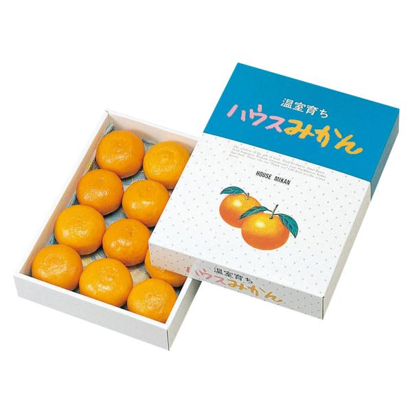 ハウスみかん 専用 ヤマニパッケージ ハウスみかん(100入) L-330 | 資材の激安販売なら