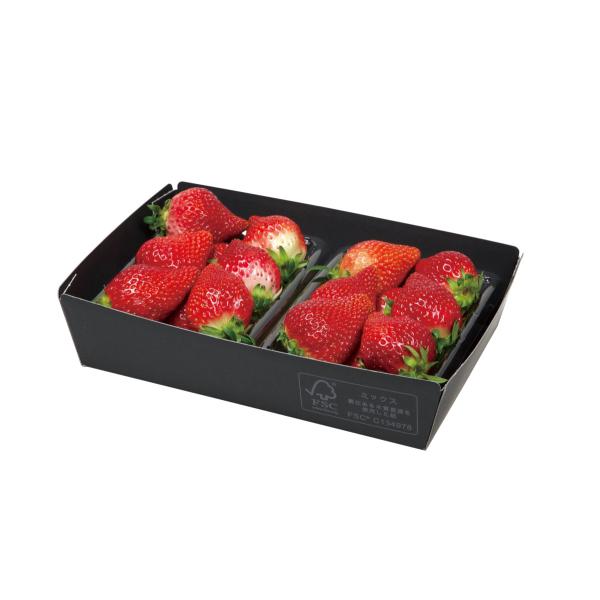 ヤマニパッケージ 黒トレー 大 FS(400入) L-490FS | 資材の激安販売
