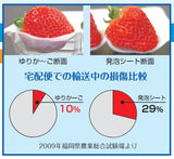 【法人名・屋号必須】納期：約１週間　大石産業　いちご販売用容器　ゆりかーごCタイプ ８玉 上下セット　C8