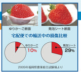 【法人名・屋号必須】納期：約１週間　大石産業　いちご販売用容器　ゆりかーごAタイプ 12玉 上下セット　A12