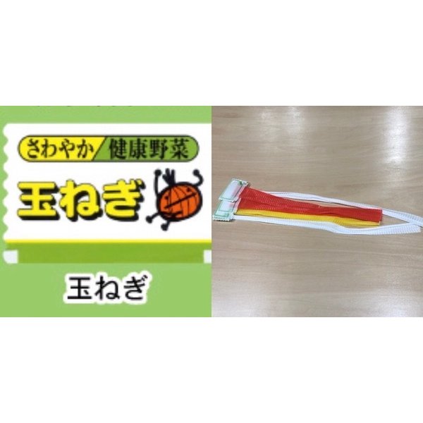たまねぎ 国産たまねぎの皮 粉末 100g: 健康食品クリエイトSDネット