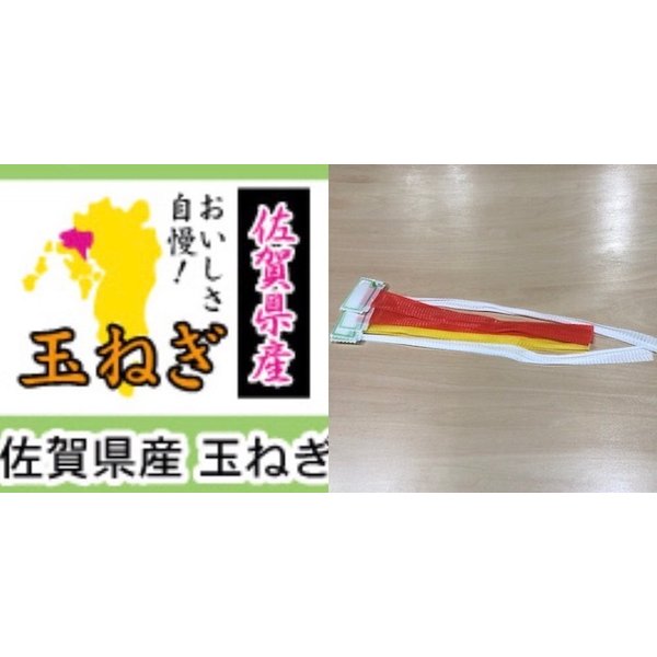 楽天市場】＼最大P19倍／ 【ブランド公式】ONEKOSAMA 日本製
