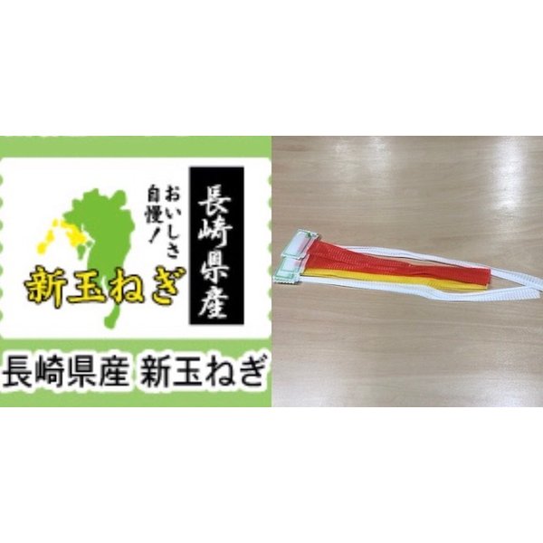 信和　ヘッダーネット 長崎県産新玉ねぎ WL-40 黄 (5000本)　338221