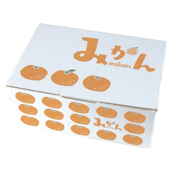 ヤマニパッケージ イラストみかん 3kg(80入) L-2442 | 資材の激安販売