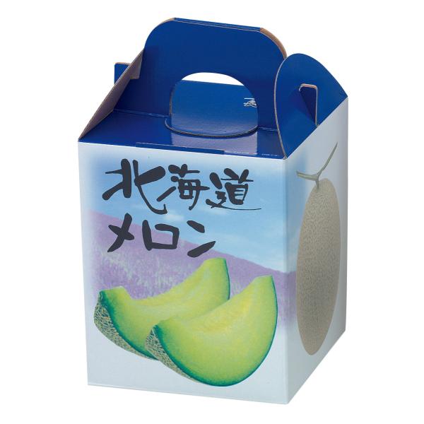 北海道メロン1箱　完熟バナナ1箱　計2箱　マイクロダイエット　限定生産 限定生産マイクロダイエット 北海道メロン｜サニーヘルス公式