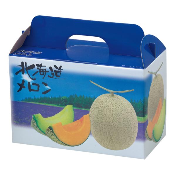 北海道メロン1箱　完熟バナナ1箱　計2箱　マイクロダイエット　限定生産 限定生産マイクロダイエット 完熟バナナ｜サニーヘルス公式