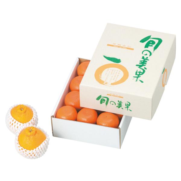 ヤマニパッケージ　旬の美果（小）(50入)　L-2098