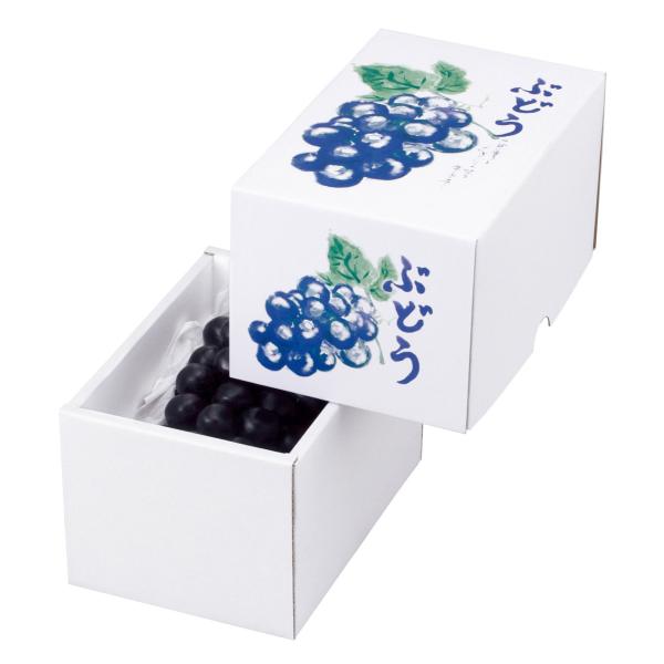 ヤマニパッケージ もぎたてのぶどう（1房）(50入) L-2161 | 資材の激安
