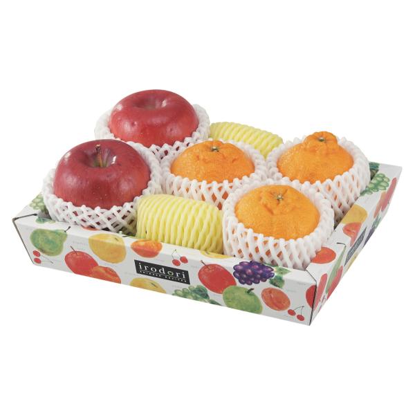 ヤマニパッケージ 盛箱V いろどり（ミニ）(100入) L-2345 | 資材の