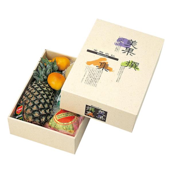 ヤマニパッケージ AF美果撰集（中B）(40入) L-325 | 資材の激安販売