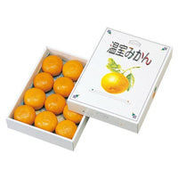 ヤマニパッケージ　温室みかん1kg(80入)　L-331