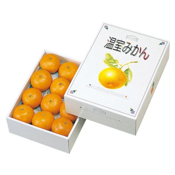 ＭJJ　和みかん10kg 2箱 000000000200-01-xl.jpg?t=