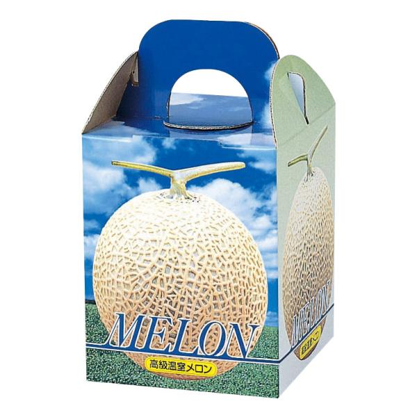 ヤマニパッケージ ピュアメロン1ヶ入(100入) L-339 | 資材の激安販売