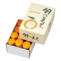 ヤマニパッケージ　旬の美果5kg(40入)　L-341