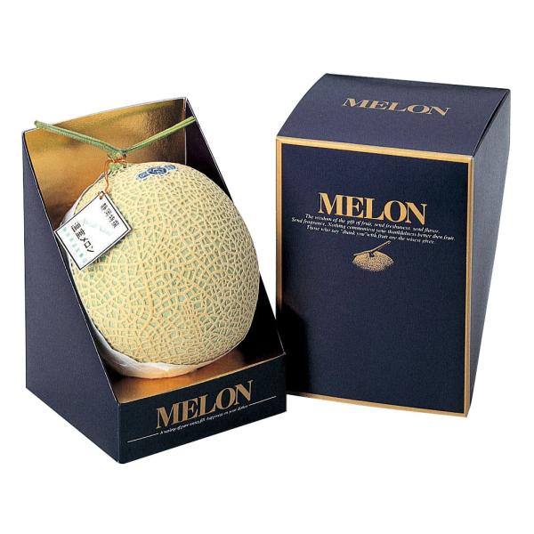 ヤマニパッケージ メロン・マチェール(100入) L-348 | 資材の激安販売