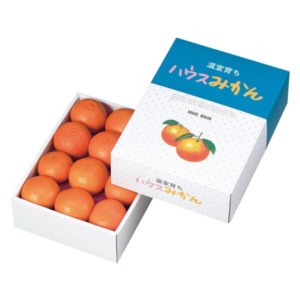 購入者6158　静岡県牧之原市産ハウスみかん 購入者6158 静岡県牧之原市産ハウスみかん しずてつストア