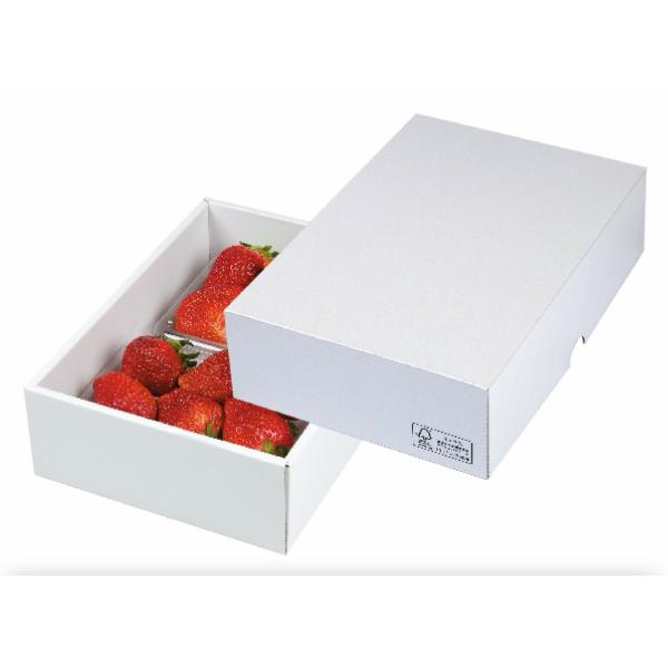 ヤマニパッケージ パール21 FS(100入) LTO-21FS | 資材の激安